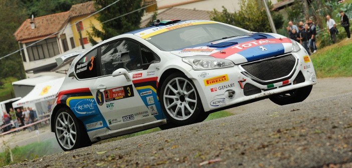 Paolo Andreucci, Anna Andreussi (Peugeot 208 T16, #3 Racing Lion);