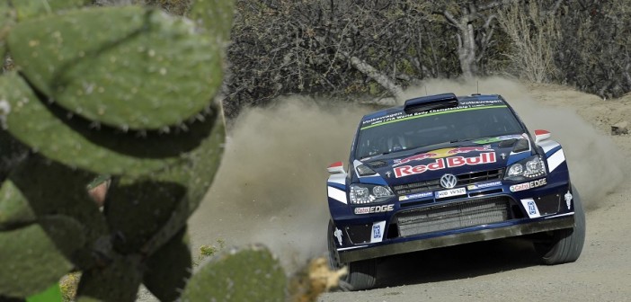 Jari-Matti Latvala vola tra i cactus di El Chocolate