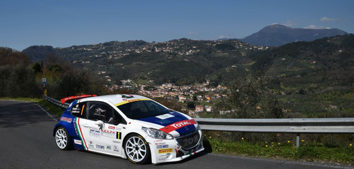 La Peugeot 208 T16 di Andreucci vola sulle strade di casa.