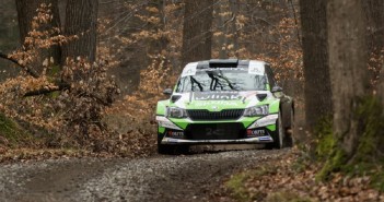 La Fabia di Loix nel sottobosco delle Ardenne.