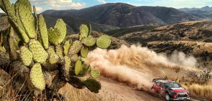 La Citroen di Meeke che l'anno passato a Leon ha fatto saltare il banco.