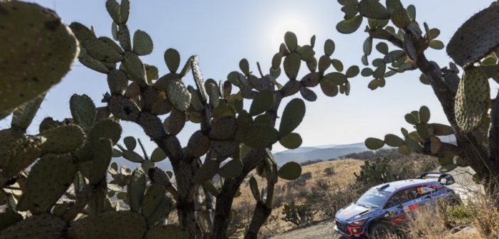 Neuville andrà a caccia del primo successo stagionale sulle stage Messicane.