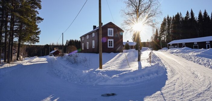 Uno scorcio di prova speciale odierno del Rally Sweden